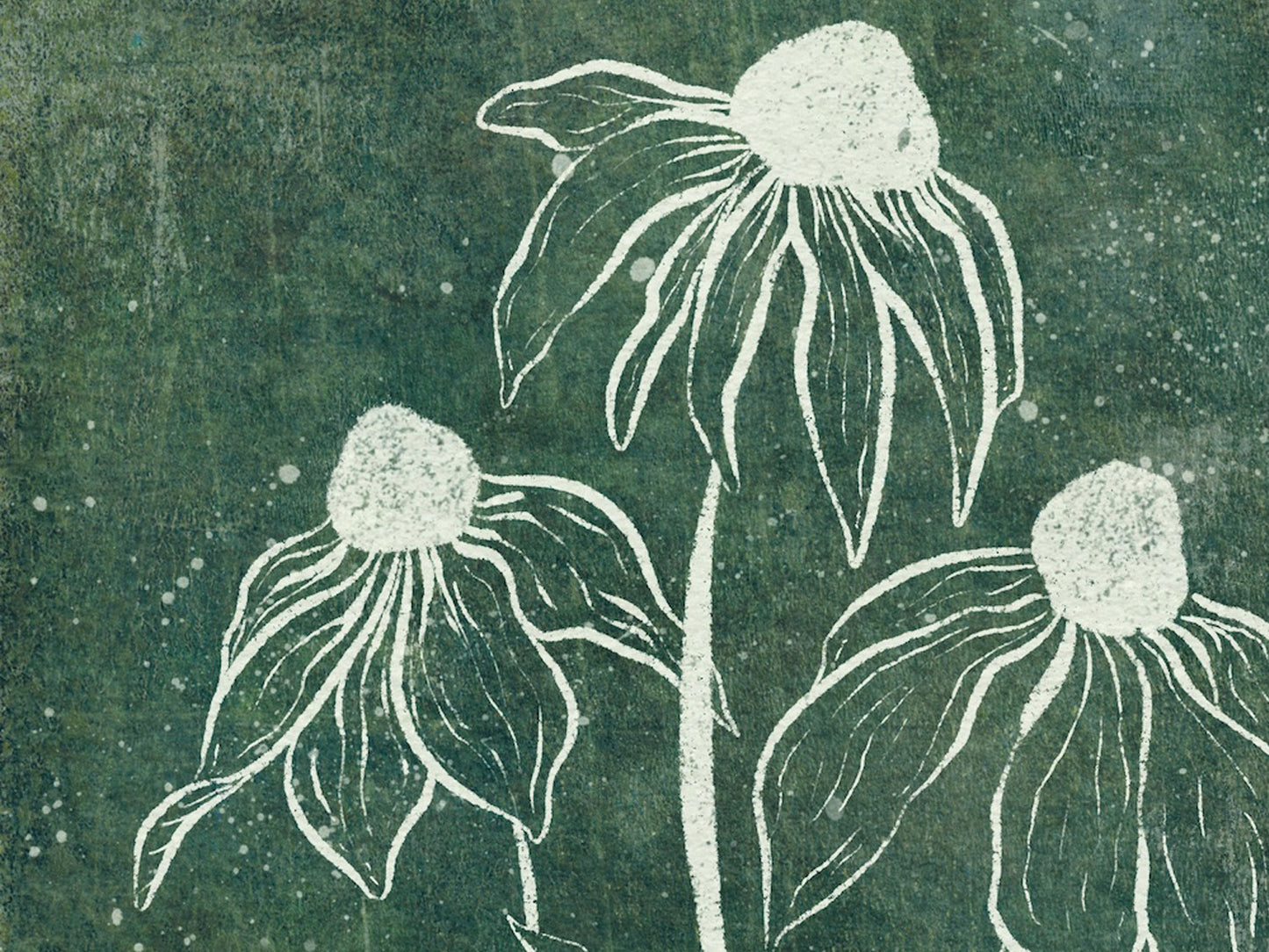 Echinacea Garden Botanical Print
