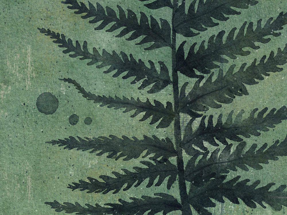 Fern Leaf Botanical Print