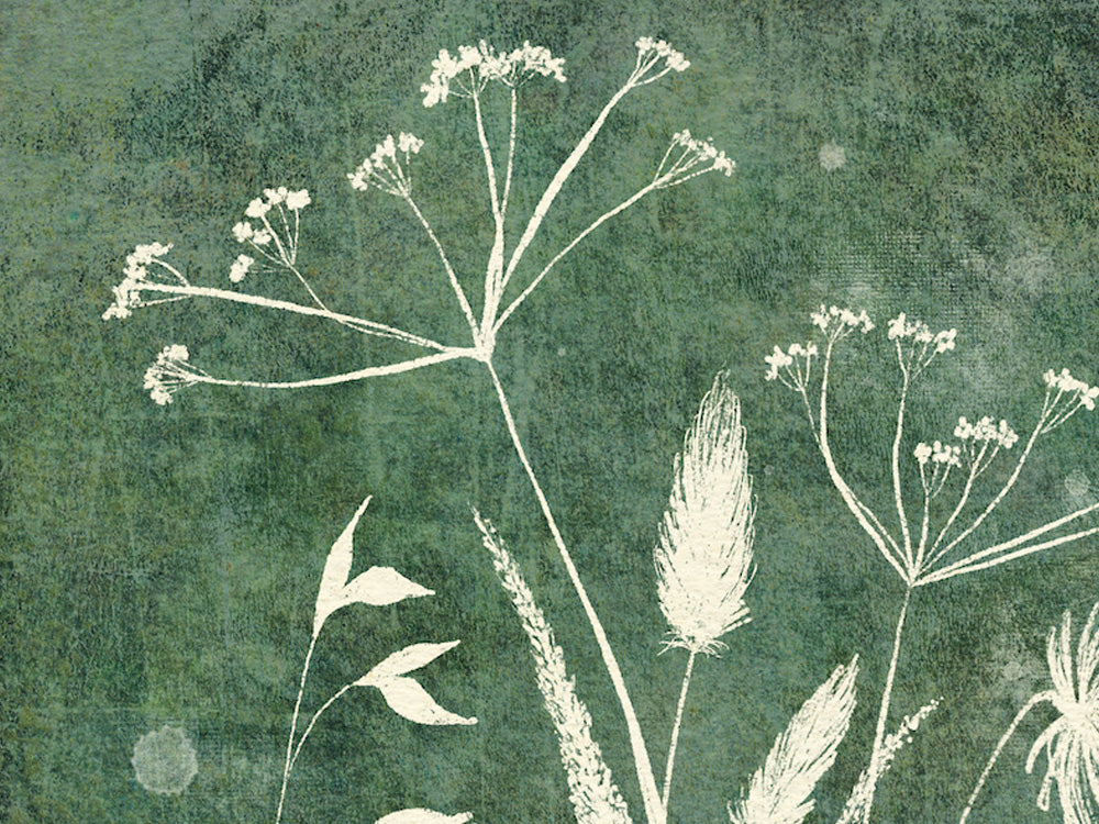 Wild Flowers Botanical Print