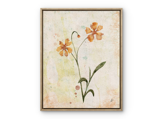 Coreopsis Flower Botanical Print