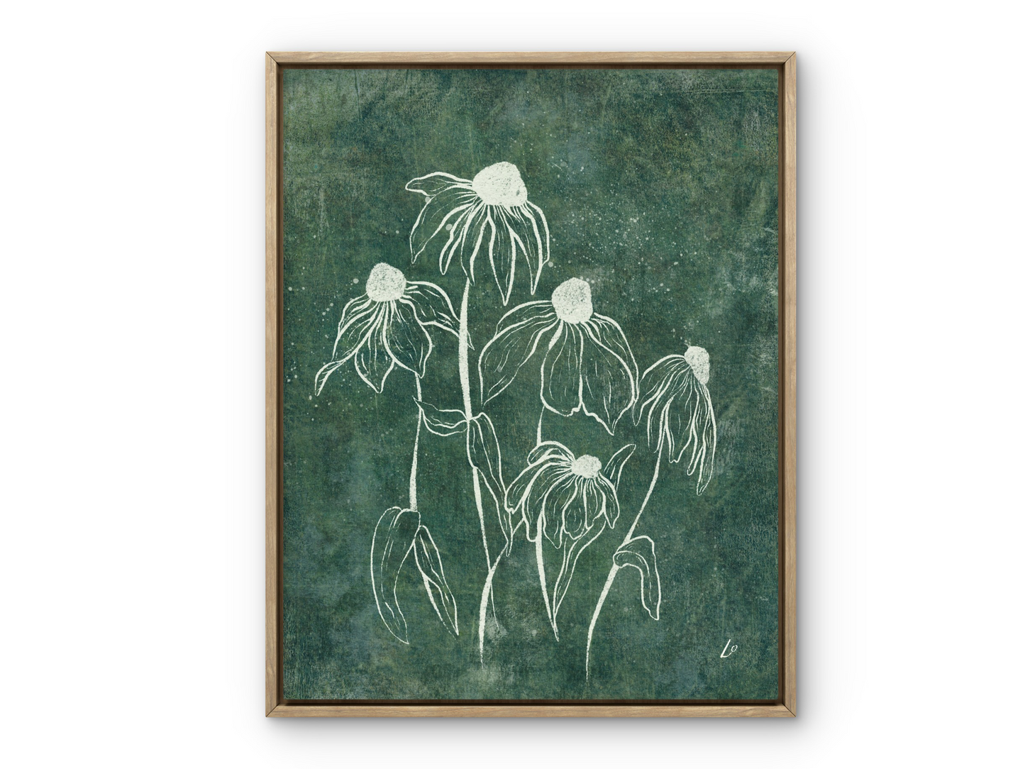 Echinacea Garden Botanical Print