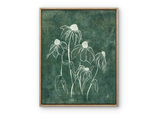Echinacea Garden Botanical Print