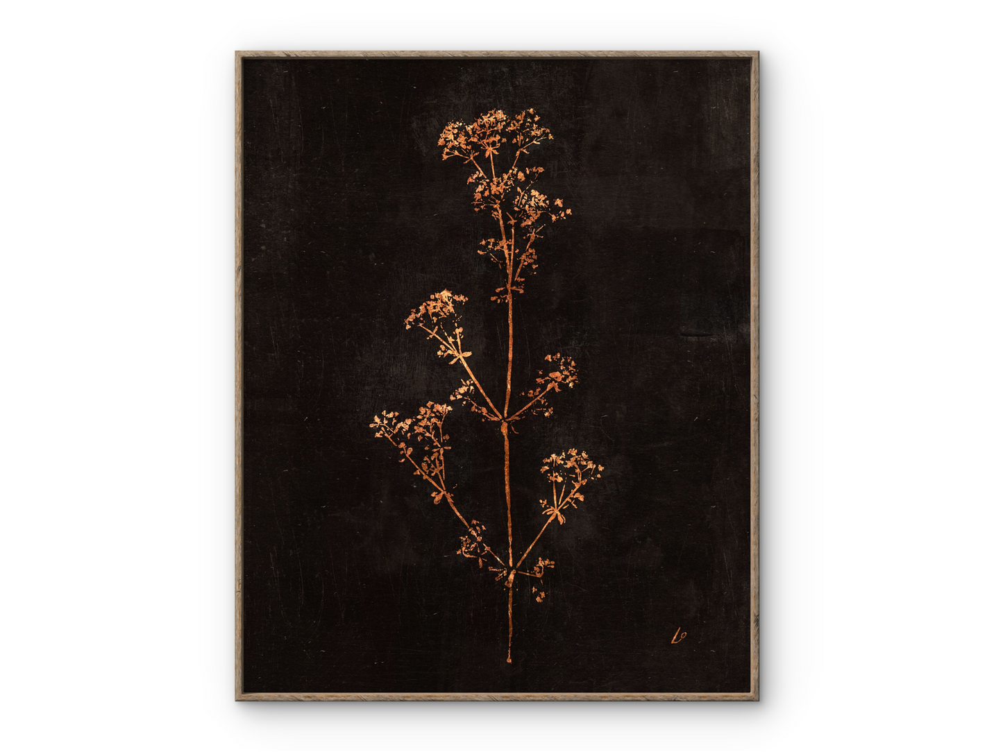 Copper Cow Parsley Branch