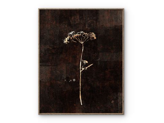 Copper Cow Parsley Sprig